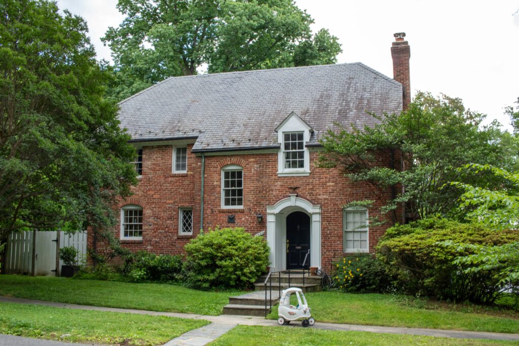 historic home pests