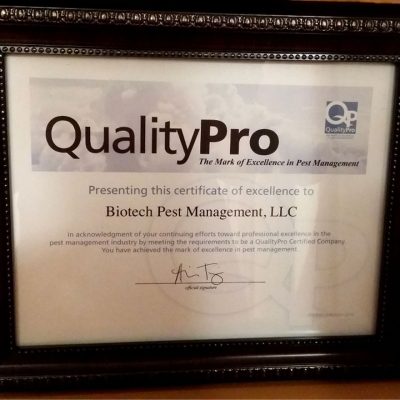 QualityPro Certificate of Excellence